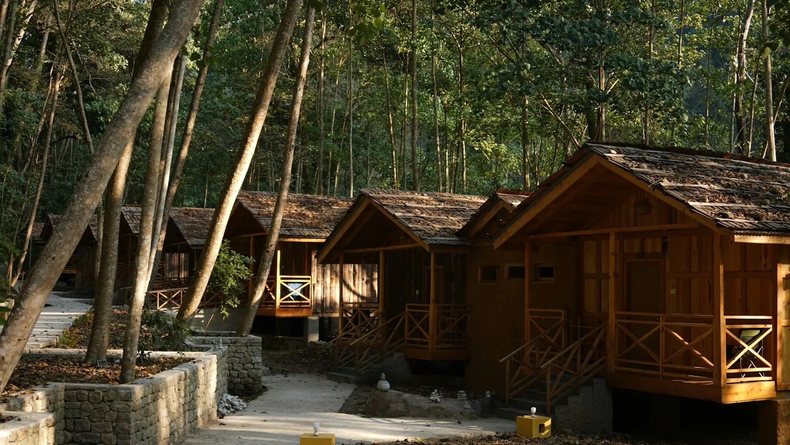 Wooden holiday cabins among trees in a forest